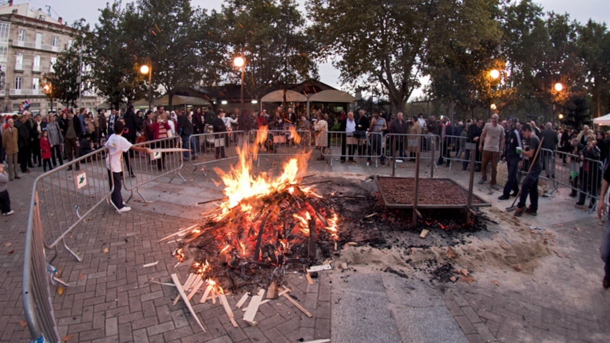 fiestas-san-martino-magostos-ourense-3