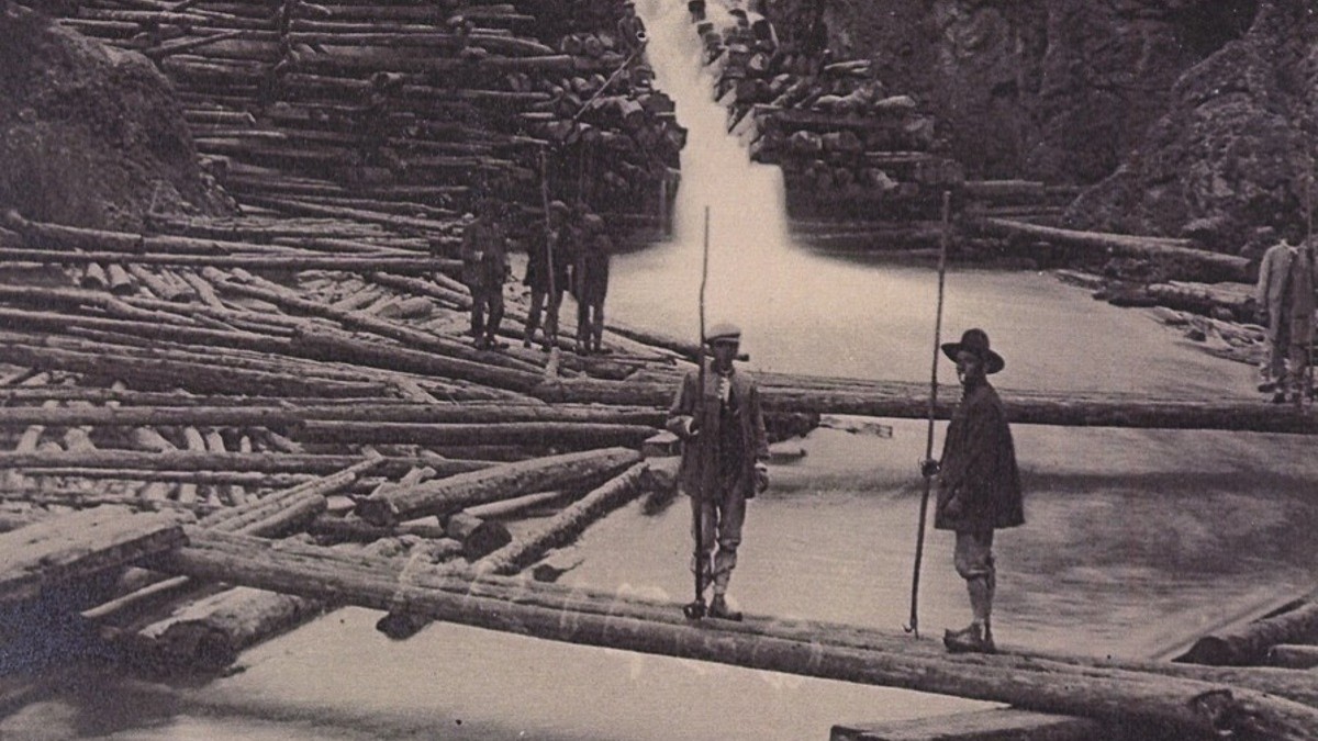 fiesta-ganchera-taravilla-2