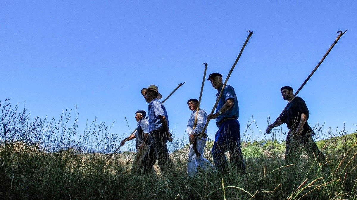 fiesta-ganchera-taravilla-4