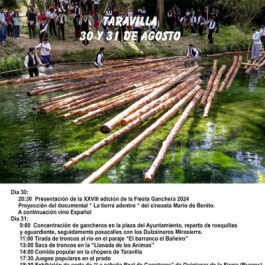 fiesta-ganchera-taravilla-cartel-2024