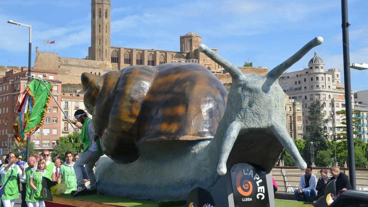 aplec-caragol-lleida-4