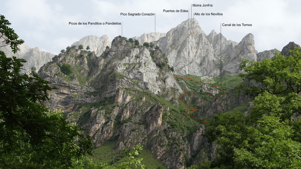 zzzzzzzzzzzzzzzzzzzzzzzzzzzzzzzzzzzzzzzzzzzzzzzzzzzzzzzzzzfiesta-sagrado-corazon-pico-san-calos-bejes-2