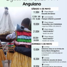 cartel-fiesta-mayo-bajada-santa-anguiano-2024
