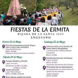 cartel-fiesta-mayo-bajada-santa-anguiano-2025