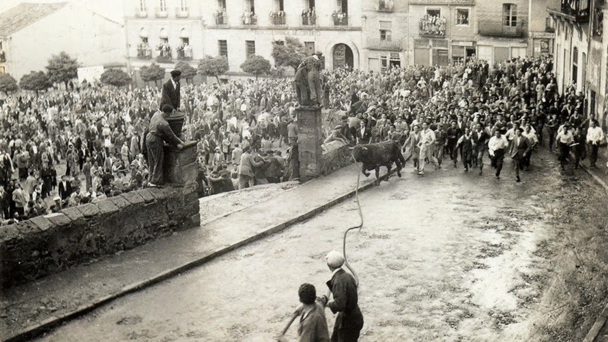 fiestas-toro-enmaromado-benavente-5