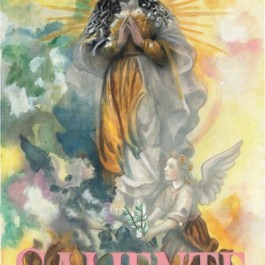 romeria-saliente-albox-cartel-2025