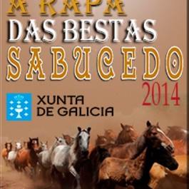 fiesta-rapa-bestas-sabucedo-cartel-2014