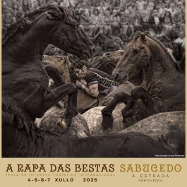 fiesta-rapa-das-bestas-sabucedo-cartel-2025