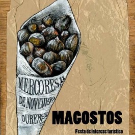 fiestas-san-martino-magostos-ourense-cartel-2015