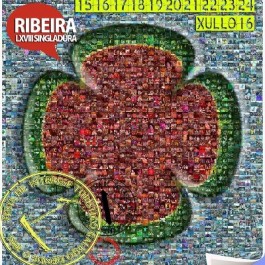 fiesta-dorna-ribeira-cartel-2016