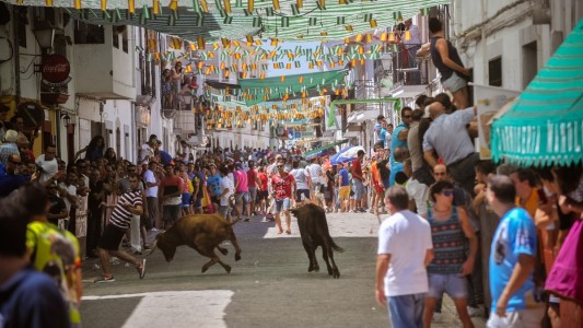 Las vaquillas en la Feria y Fiestas de Santa Ana. Foto: Ayto. de El Viso
