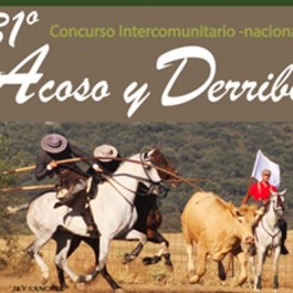 concurso-acoso-derribo-ciudad-rodrigo-cartel-2014