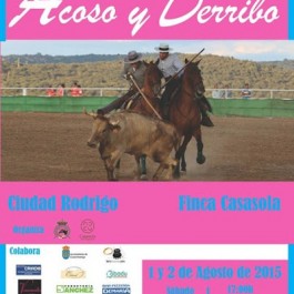 concurso-acoso-derribo-ciudad-rodrigo-cartel-2015