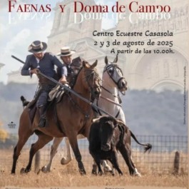 concurso-acoso-derribo-ciudad-rodrigo-cartel-2025