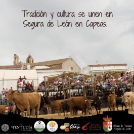 fiestas-cristo-reja-capeas-segura-leon-cartel-2024-1