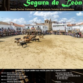 fiestas-cristo-reja-capeas-segura-leon-cartel-2025