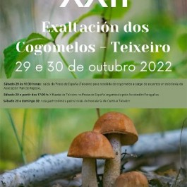 festa-cogumelo-teixeiro-curtis-2022