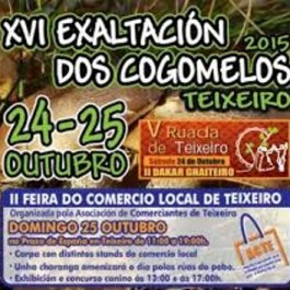 fiesta-exaltacion-cogomelos-teixeiro-cartel-2015