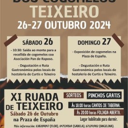 fiesta-exaltacion-cogomelos-teixeiro-cartel-2024