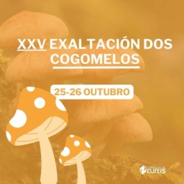 fiesta-exaltacion-cogomelos-teixeiro-cartel-2025