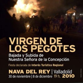 fiestas-virgen-pegotes-nava-rey-cartel-2010
