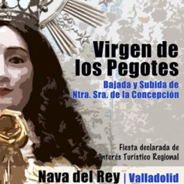 fiestas-virgen-pegotes-nava-rey-cartel-2011