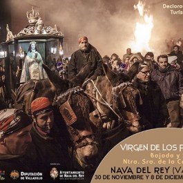 fiestas-virgen-pegotes-nava-rey-cartel-2013