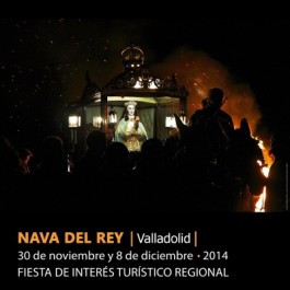 fiestas-virgen-pegotes-nava-rey-cartel-2014