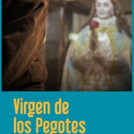 fiestas-virgen-pegotes-nava-rey-cartel-2015