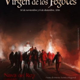 fiestas-virgen-pegotes-nava-rey-cartel-2016