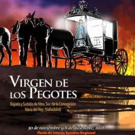 fiestas-virgen-pegotes-nava-rey-cartel-2018