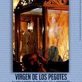 fiestas-virgen-pegotes-nava-rey-cartel-2020