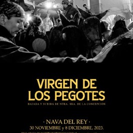 fiestas-virgen-pegotes-nava-rey-cartel-2023