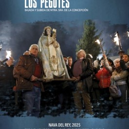fiestas-virgen-pegotes-nava-rey-cartel-2025