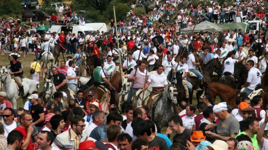 Día de la Saca en las Fiestas de San Juan de Soria. Foto: sanjuaneando.com