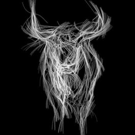 fiestas-san-juan-madre-dios-soria-cartel-2024