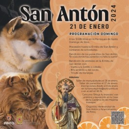 fiesta-san-anton-pinto-cartel-2024