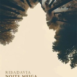 fiesta-noite-meiga-ribadavia-cartel-2024