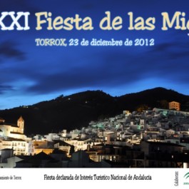 fiesta-migas-torrox-cartel-2012