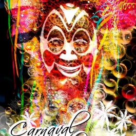 fiestas-carnaval-vinaros-cartel-2011