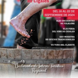 feria-vino-fiesta-vendimia-cigales-cartel-2024
