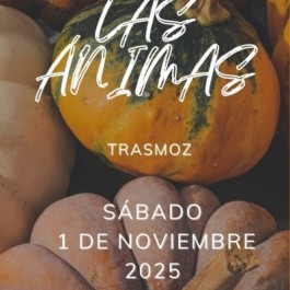 fiesta-luz-animas-trasmoz-cartel-2025