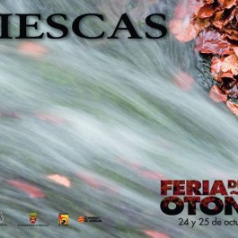 feria-otono-biescas-cartel-2009