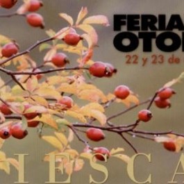 feria-otono-biescas-cartel-2011