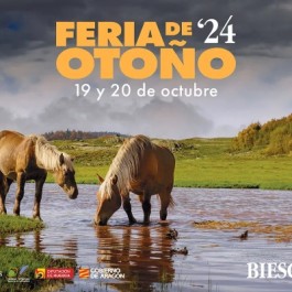 feria-otono-biescas-cartel-2024